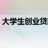 大学生创业贷款政策（大学生创业贷款条件）