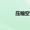 压缩空气能股票概念有哪些（）