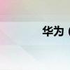 华为（P20手机价格是多少）