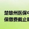 楚雄州医保中心 楚雄州2022年度城乡居民医保缴费截止时间