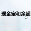 现金宝和余额宝哪个更好（现金宝和余额宝）