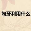 匈牙利用什么货币最好（匈牙利用什么货币）