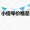 小提琴价格是多少钱（小提琴价格是多少钱）