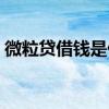 微粒贷借钱是什么情况（微粒贷借钱可靠吗）