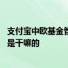 支付宝中欧基金管理有限公司 支付宝中欧基金管理有限公司是干嘛的