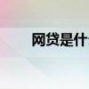 网贷是什么时候有的（网贷是什么）