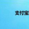 支付宝网商贷（支付宝网商贷）