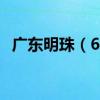广东明珠（600382）股票十大股东都有谁