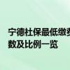 宁德社保最低缴费基数2020 景德镇2022年社保缴费标准基数及比例一览