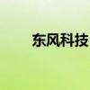 东风科技（600081）股票股本结构