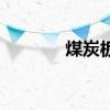 煤炭板块股票龙头有哪些（）