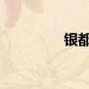 银都股份股票表现怎么样