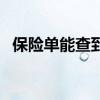 保险单能查到出险记录（保险单能贷款吗）