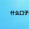 什么口子比较好（什么口子好下款）