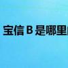 宝信Ｂ是哪里的企业（宝信Ｂ属于什么行业）