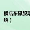 横店东磁股票属于什么概念（横店东磁股票介绍）