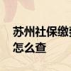 苏州社保缴费明细查询个人账户怎么查 官网怎么查 