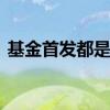 基金首发都是一元吗 首发基金一份是一元么