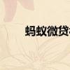 蚂蚁微贷被骗了（蚂蚁微贷是什么）