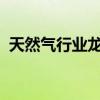天然气行业龙头有哪些天然气行业股票一览