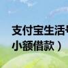 支付宝生活号小额借款2022（支付宝生活号小额借款）