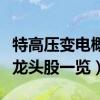 特高压变电概念上市公司有那些（特高压变电龙头股一览）