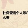 社保查询个人账户缴费明细查询 个人社保缴费记录在网上怎么查 