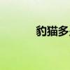豹猫多少米（豹猫多少钱一只）