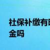 社保补缴有时间限制吗 补缴社保需要交滞纳金吗 
