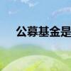 公募基金是啥意思 公募基金是什么意思