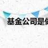 基金公司是做什么的 基金公司是做什么的