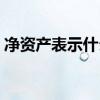 净资产表示什么意思（净资产表示什么意思）