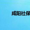 咸阳社保查询 咸阳个人社保卡查询