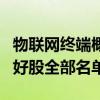 物联网终端概念利好哪些股票（物联网终端利好股全部名单）