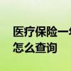 医疗保险一年要交多少钱 医疗保险缴费记录怎么查询 