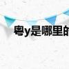 粤y是哪里的车牌子（粤y是哪里的车牌）