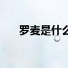罗麦是什么运作模式（罗麦是传销吗）