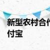 新型农村合作医疗缴费怎么网上缴费 微信/支付宝 