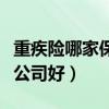 重疾险哪家保险公司最靠谱（重疾险哪家保险公司好）