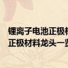 锂离子电池正极材料上市公司股票有哪些（相关锂离子电池正极材料龙头一览）