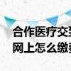 合作医疗交到多少岁就不交了 合作医疗保险网上怎么缴费 