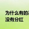为什么有的基金没有分红 为什么我选的基金没有分红