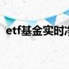 etf基金实时净值 etf基金净值是实时显示吗