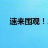 速来围观！2022年双11概念股名单一览