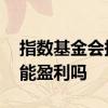 指数基金会持续上涨吗 指数基金指数上涨就能盈利吗