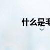什么是毛利（毛利率是什么意思）