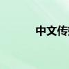 中文传媒（600373）增发公告