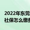 2022年东莞个人社保多少钱一个月 东莞个人社保怎么缴费 